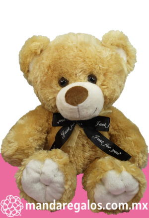 Oso de Peluche (50 cm)